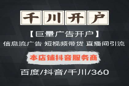 某知名企业SEM营销全案解析